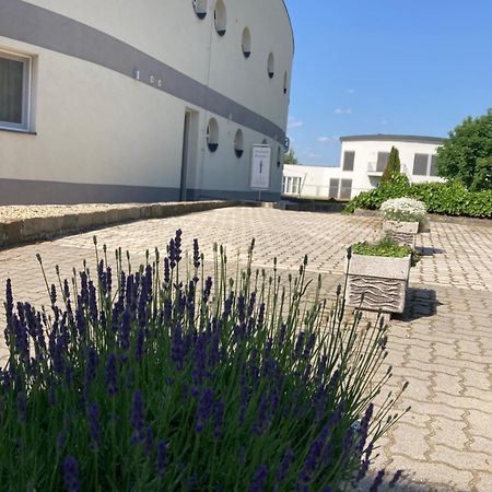 Nautilus Etterem Es Panzio Hotel Dabas Екстериор снимка