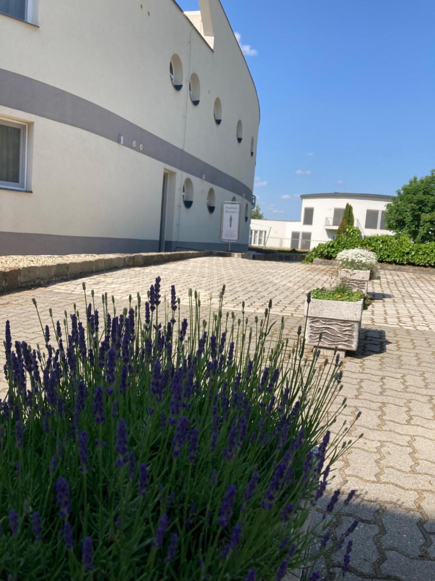 Nautilus Etterem Es Panzio Hotel Dabas Екстериор снимка